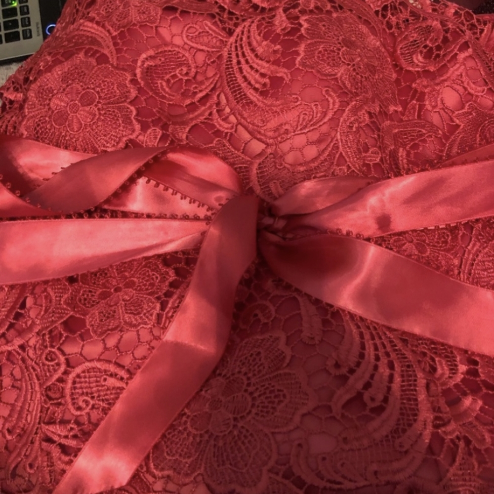 Adrianna Papell Rose Red Lace Illusion Party Dress XS - Picture 8 of 13